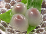 �y�l�b�g�V���b�v�z���َq�n�߂܂����B